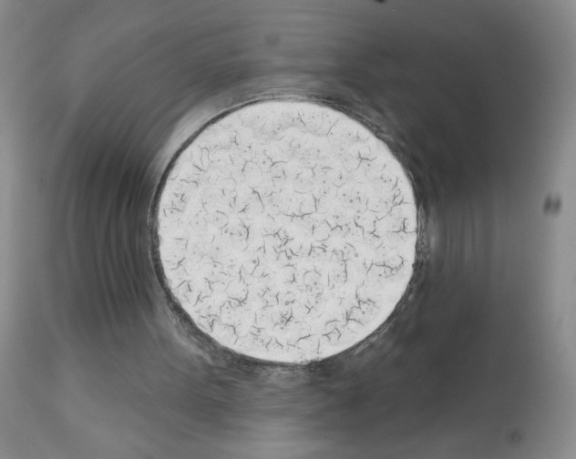 X0000113080099200910091242