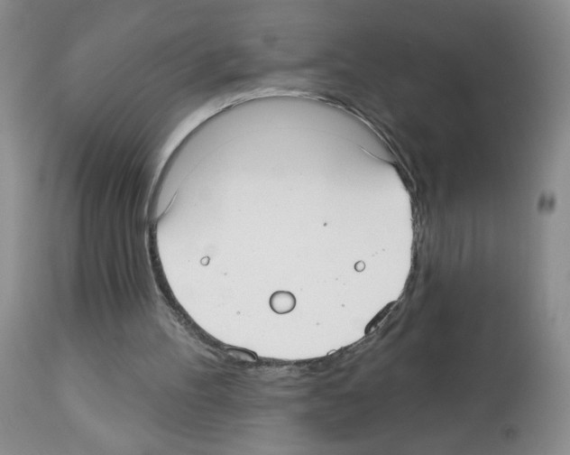X0000113080100200910091242