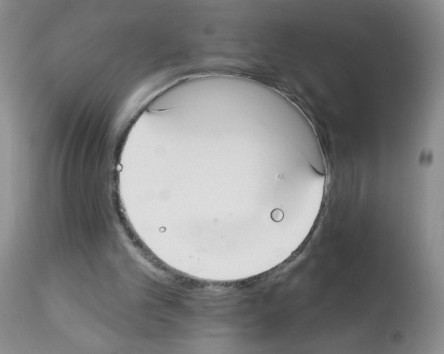 X0000113080101200910091242