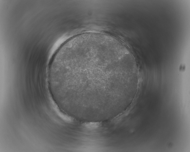 X0000113080102200910091242