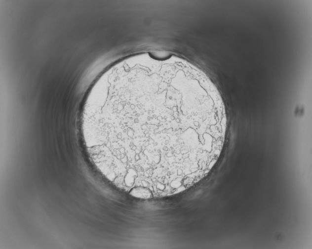 X0000113080103200910091242