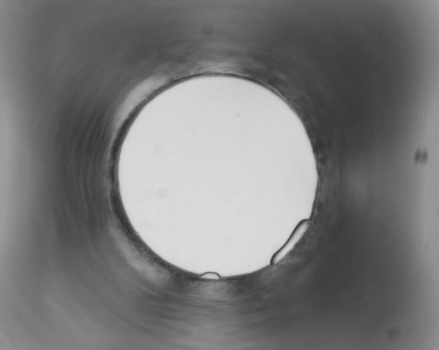 X0000113080104200910091242