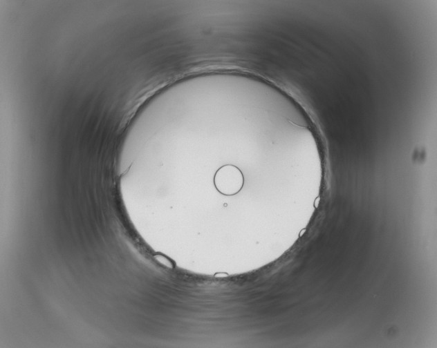 X0000113080105200910091242