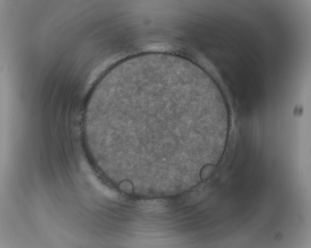 X0000113080106200910091242