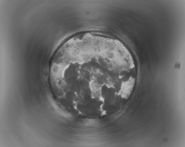 X0000113080107200910091242