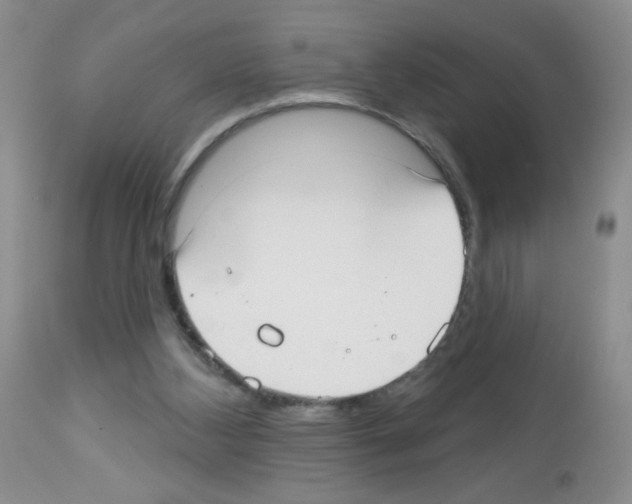 X0000113080108200910091242