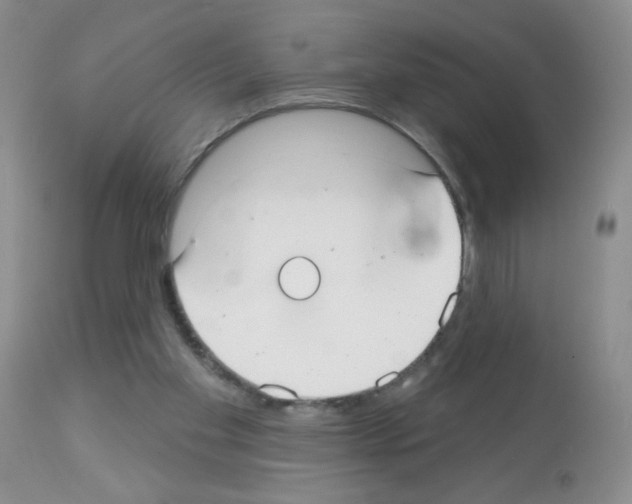 X0000113080109200910091242