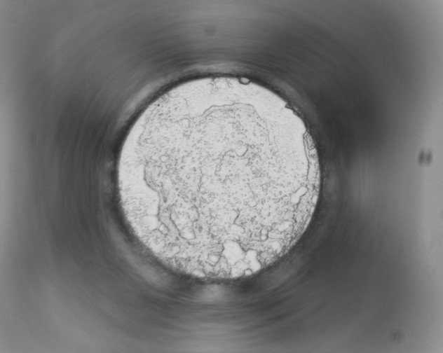 X0000113080111200910091242