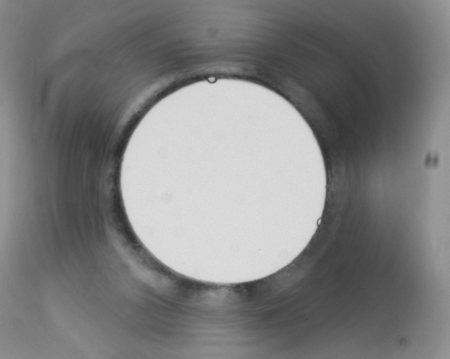 X0000113080112200910091242