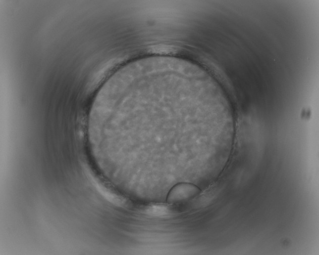X0000113080114200910091242