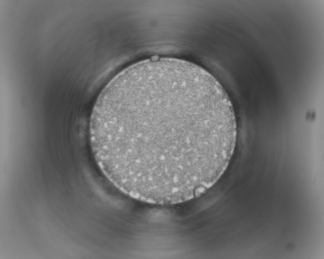 X0000113080115200910091242