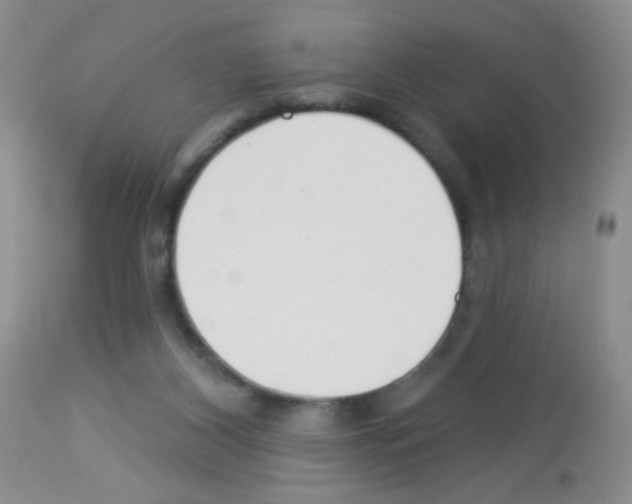 X0000113080116200910091242