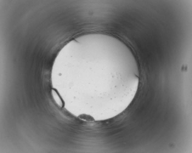 X0000113080117200910091242
