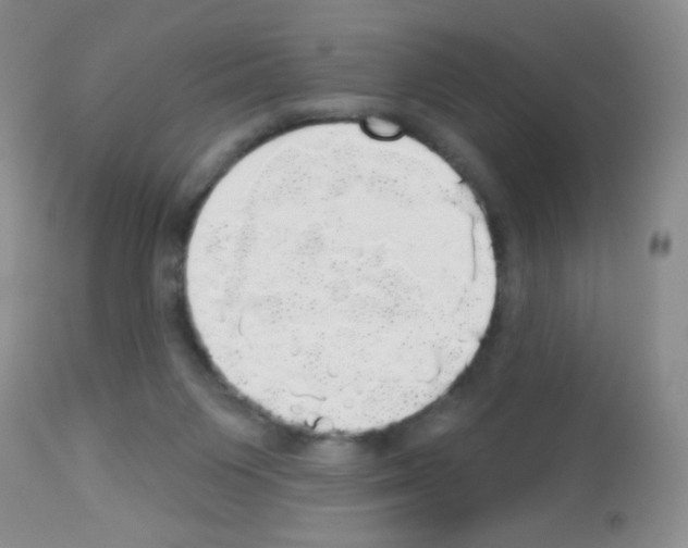 X0000113080119200910091242