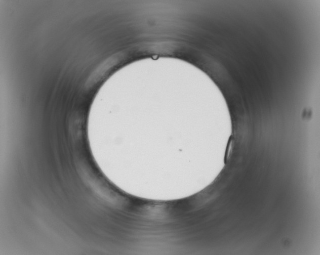 X0000113080120200910091242