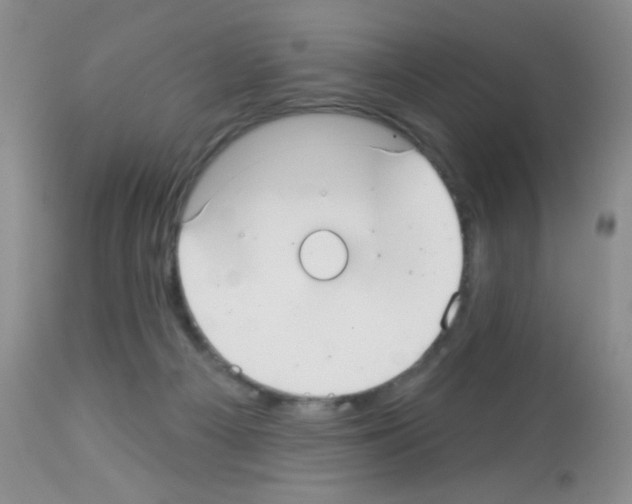 X0000113080121200910091242