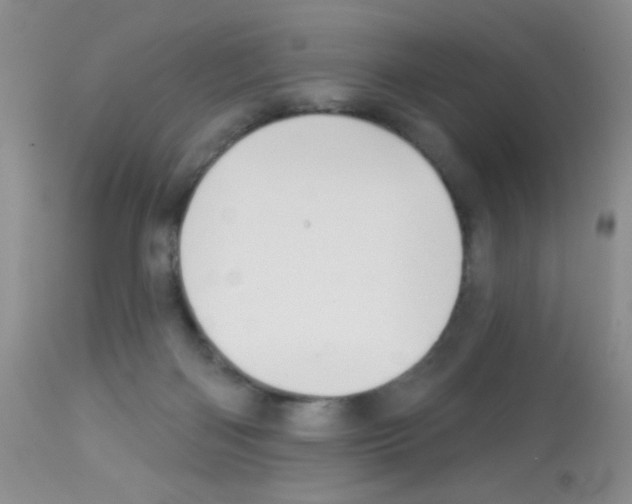 X0000113080122200910091242
