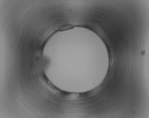 X0000113080124200910091242