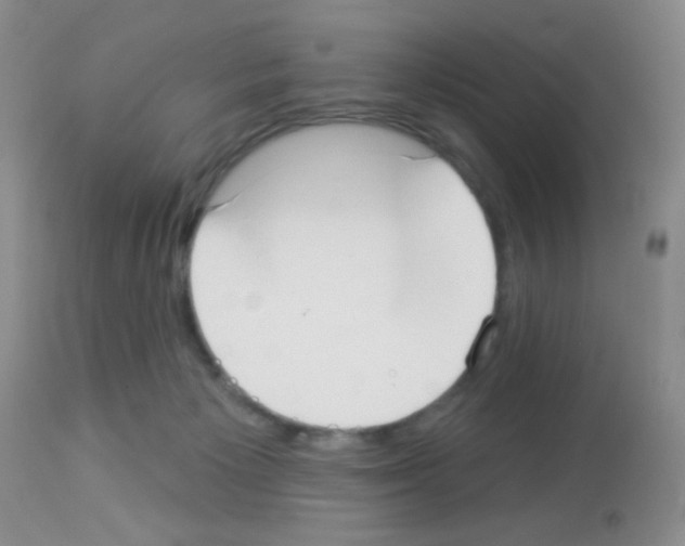 X0000113080125200910091242