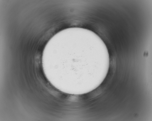 X0000113080127200910091241