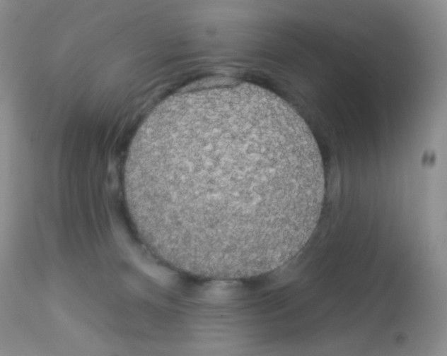 X0000113080128200910091241