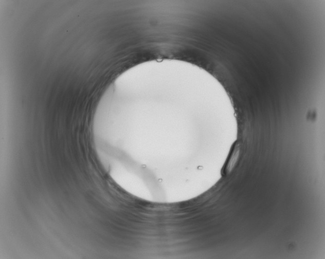 X0000113080129200910091241