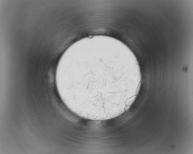 X0000113080131200910091241