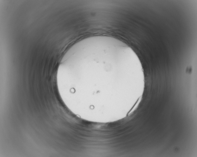 X0000113080132200910091241