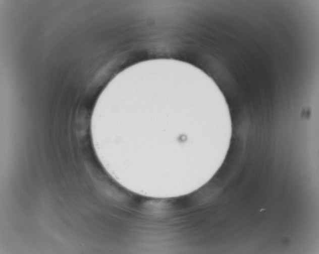 X0000113080133200910091241