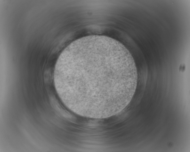 X0000113080134200910091241