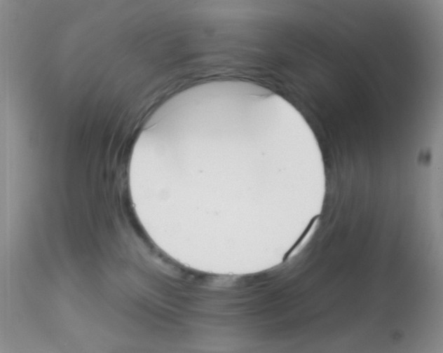 X0000113080136200910091241
