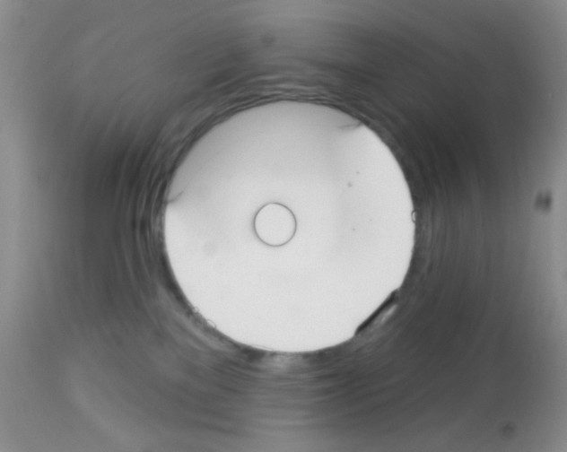 X0000113080137200910091241