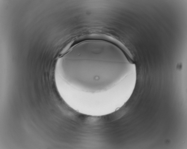 X0000113080139200910091241