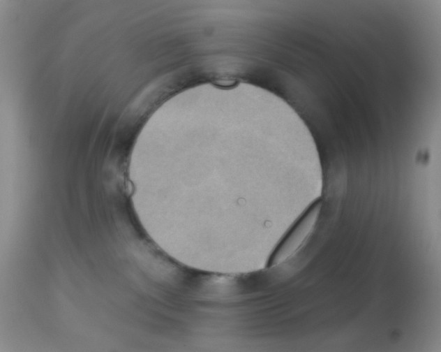 X0000113080140200910091241