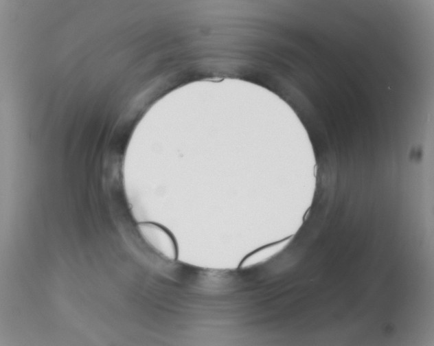 X0000113080141200910091241