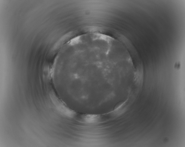 X0000113080142200910091241
