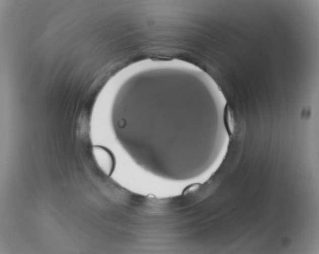 X0000113080143200910091241