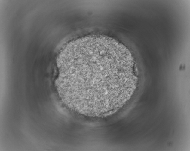 X0000113080144200910091241
