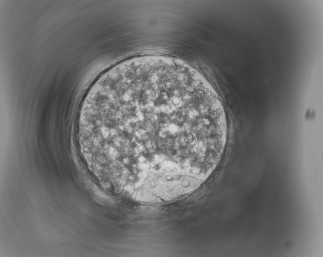 X0000113080145200910091241