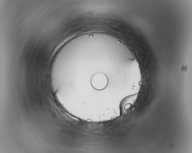 X0000113080146200910091241