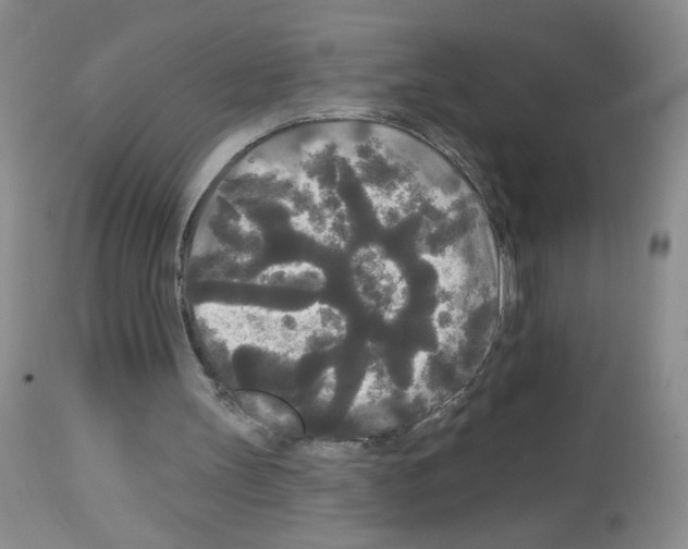 X0000113080147200910091241
