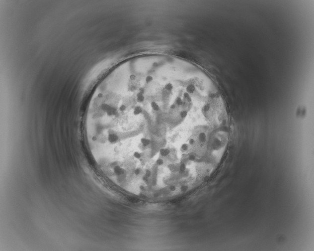 X0000113080149200910091241