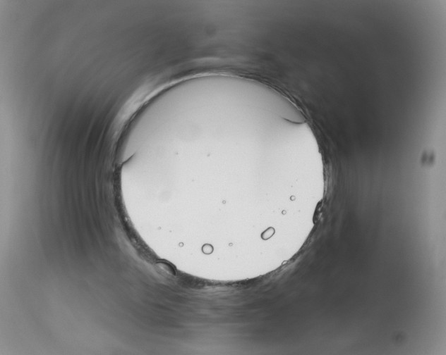 X0000113080150200910091241