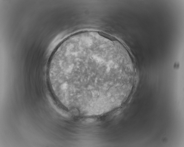 X0000113080151200910091241