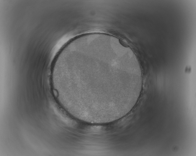 X0000113080152200910091241