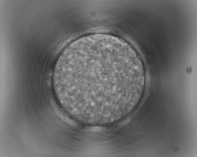 X0000113080153200910091241