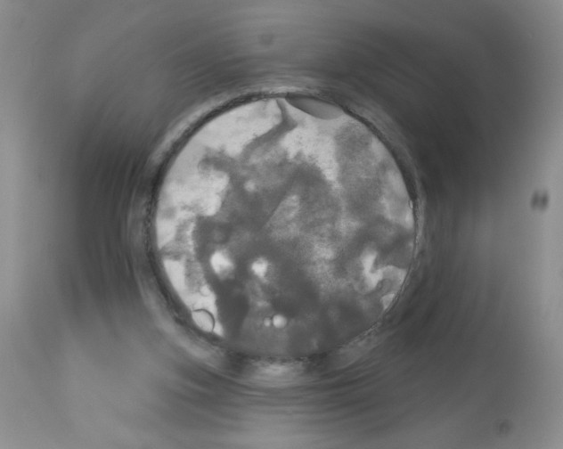 X0000113080155200910091241