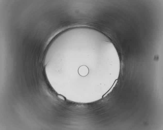 X0000113080156200910091241
