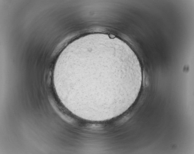 X0000113080157200910091241