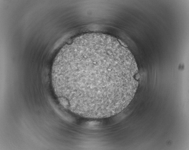 X0000113080158200910091241